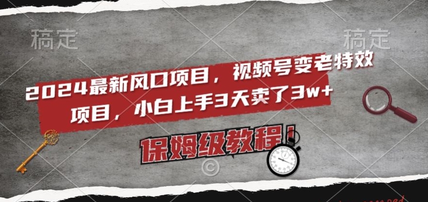 2024最新风口项目,视频号变老特效项目,电脑小白上手3天卖了3w+,保姆级教程【揭秘】-第一资源库