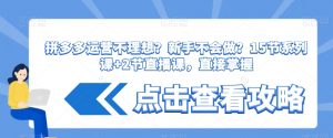 拼多多运营不理想?新手不会做?15节系列课+2节直播课,直接掌握-第一资源库
