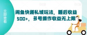 闲鱼快递私域玩法,睡后收益500+,多号操作收益无上限【揭秘】-第一资源库