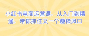 小红书电商运营课,从入门到精通,带你抓住又一个赚钱风口-第一资源库