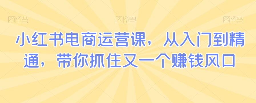 小红书电商运营课,从入门到精通,带你抓住又一个赚钱风口-第一资源库