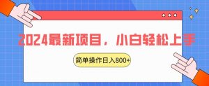 2024最新项目,红娘项目,简单操作轻松日入800+【揭秘】-第一资源库
