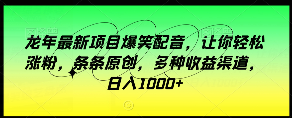 龙年最新项目爆笑配音,让你轻松涨粉,条条原创,多种收益渠道,日入1000+【揭秘】-第一资源库