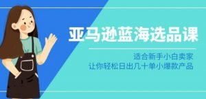 亚马逊-蓝海选品课:适合新手小白卖家,让你轻松日出几十单小爆款产品-第一资源库