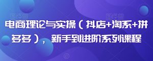 电商理论与实操(抖店+淘系+拼多多),新手到进阶系列课程-第一资源库