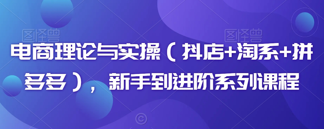 电商理论与实操(抖店+淘系+拼多多),新手到进阶系列课程-第一资源库