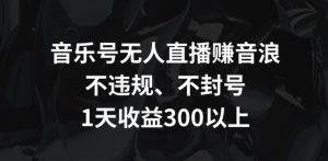 音乐号无人直播赚音浪，不违规、不封号，1天收益300+【揭秘】-第一资源库