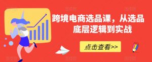 跨境电商选品课，从选品到底层逻辑到实战-第一资源库