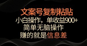 文案号掘金,简单复制粘贴,小白操作,单作品收益900+【揭秘】-第一资源库