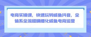 电商实操课,快速玩转咸鱼抖音,全体系全流程精细化咸鱼电商运营-第一资源库