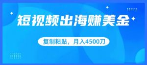 短视频出海赚美金，复制粘贴批量操作，小白轻松掌握，月入4500美刀【揭秘】-第一资源库