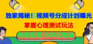 独家揭秘!视频号分成计划曝光,掌握心理测试玩法,快速实现1000元收益【揭秘】-第一资源库