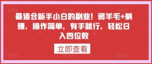 最适合新手小白的副业！薅羊毛+躺赚，操作简单，有手就行，轻松日入四位数【揭秘】-第一资源库