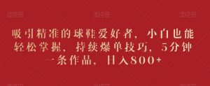 吸引精准的球鞋爱好者，小白也能轻松掌握，持续爆单技巧，5分钟一条作品，日入800+【揭秘】-第一资源库