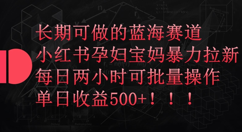长期可做的蓝海赛道,小红书孕妇宝妈暴力拉新玩法,每日两小时可批量操作,单日收益500+【揭秘】-第一资源库
