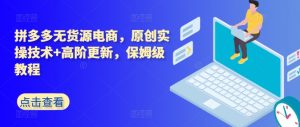拼多多无货源电商,原创实操技术+高阶更新,保姆级教程-第一资源库