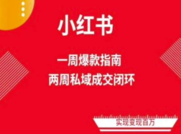 爆款小红书免费流量体系课程(两周变现),小红书电商教程-第一资源库