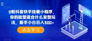 0粉抖音快手挂载小程序，你的脸型适合什么发型玩法，新手小白日入300+【揭秘】-第一资源库