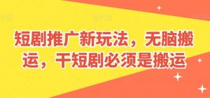短剧推广新玩法,无脑搬运,干短剧必须是搬运【揭秘】-第一资源库