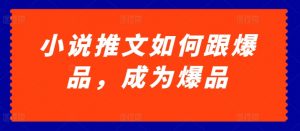 小说推文如何跟爆品，成为爆品【揭秘】-第一资源库