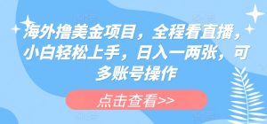 海外撸美金项目,全程看直播,小白轻松上手,日入一两张,可多账号操作【揭秘】-第一资源库