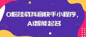 0粉挂载抖音快手小程序,AI智能起名-第一资源库