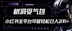 小红书等全平台树洞受气包项目,轻松日入一两张【揭秘】-第一资源库