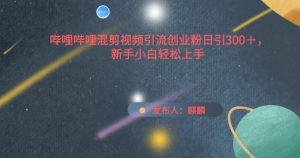 哔哩哔哩混剪视频引流创业粉日引300+,新手小白轻松上手【揭秘】-第一资源库