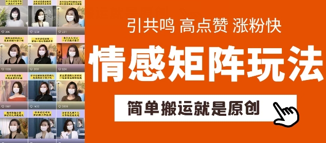 简单搬运，情感矩阵玩法，涨粉速度快，可带货，可起号【揭秘】-第一资源库