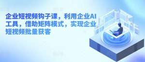 企业短视频钩子课,利用企业AI工具,借助矩阵模式,实现企业短视频批量获客-第一资源库