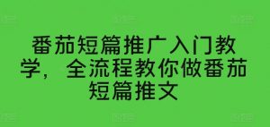 番茄短篇推广入门教学,全流程教你做番茄短篇推文-第一资源库