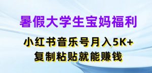 暑假大学生宝妈福利，小红书音乐号月入5000+，复制粘贴就能赚钱【揭秘】-第一资源库