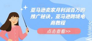 亚马逊卖家月利润百万的推广秘诀，亚马逊跨境电商教程-第一资源库