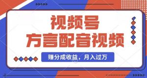 利用方言配音视频，赚视频号分成计划收益，操作简单，还有千粉号额外变现，每月多赚几千块钱【揭秘】-第一资源库