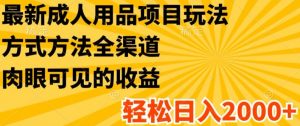最新成人用品项目玩法,方式方法全渠道,轻松日入2K+【揭秘】-第一资源库