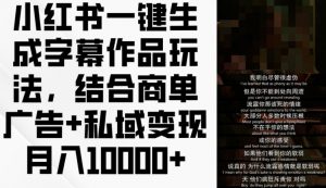 小红书一键生成字幕作品玩法,结合商单广告+私域变现月入1w+【揭秘】-第一资源库