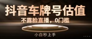 抖音车牌号估值，不露脸直播，0门槛，小白秒上手【揭秘】-第一资源库