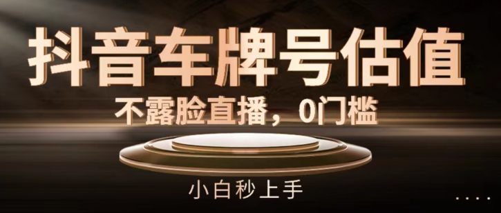 抖音车牌号估值，不露脸直播，0门槛，小白秒上手【揭秘】-第一资源库