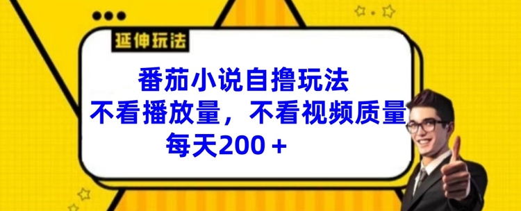番茄小说自撸玩法，不看播放量，不看视频质量，每天200+【揭秘】-第一资源库