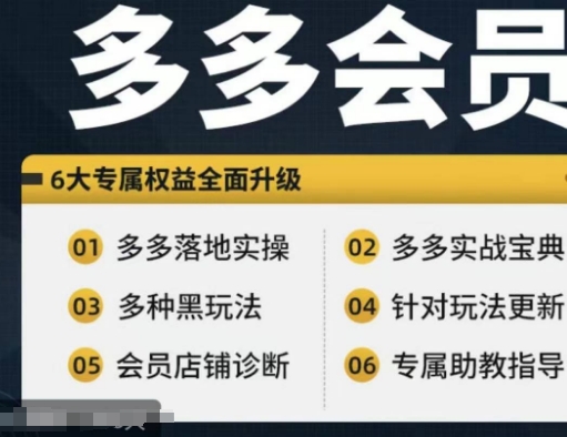 拼多多会员,拼多多实战宝典+实战落地实操,从新手到高阶内容全面覆盖-第一资源库