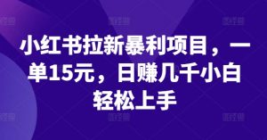 小红书拉新暴利项目,一单15元,日赚几千小白轻松上手【揭秘】-第一资源库