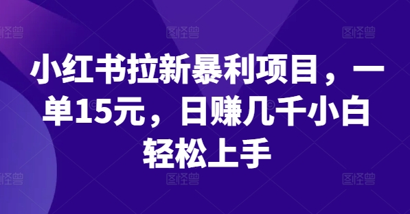 小红书拉新暴利项目,一单15元,日赚几千小白轻松上手【揭秘】-第一资源库