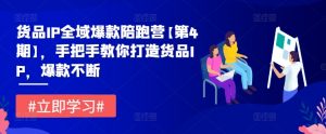货品IP全域爆款陪跑营【第4期】，手把手教你打造货品IP，爆款不断-第一资源库