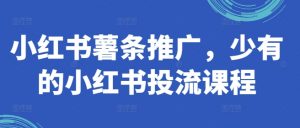 小红书薯条推广,少有的小红书投流课程-第一资源库