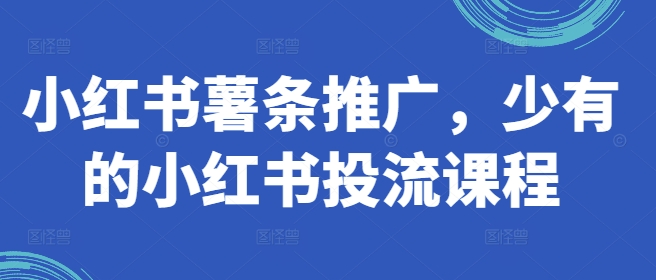 小红书薯条推广,少有的小红书投流课程-第一资源库