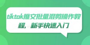 tiktok推文批量混剪操作教程,新手快速入门-第一资源库