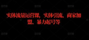 实体流量运营课,实体引流、商家加盟、暴力起号等-第一资源库