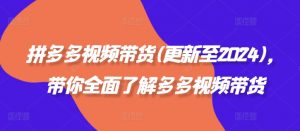 拼多多视频带货(更新至2024),带你全面了解多多视频带货-第一资源库