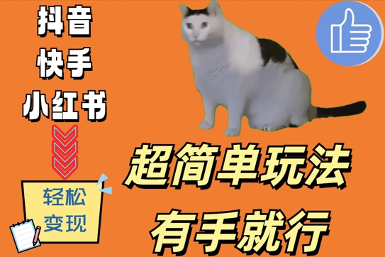 超简单玩法,有手就行,靠猫咪视频日入500+【揭秘】-第一资源库
