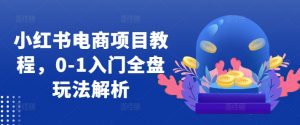 小红书电商项目教程,0-1入门全盘玩法解析-第一资源库